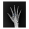 رياسDR