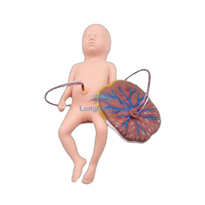 Simulateur de nouveau-n&eacute; LZB-132 NeoNatalie