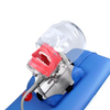 Simulador dental de ciencia m&eacute;dica