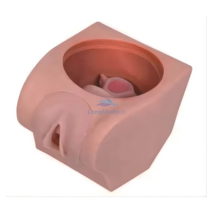 LZB-502 نموذج ممارسة منع الحمل المتقدم للنساء في تدريس أمراض النساء