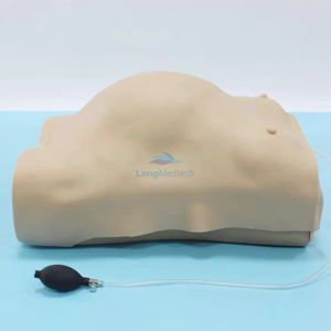 LZB-FW2 قزم فحص إلكتروني متقدم للنساء الحوامل