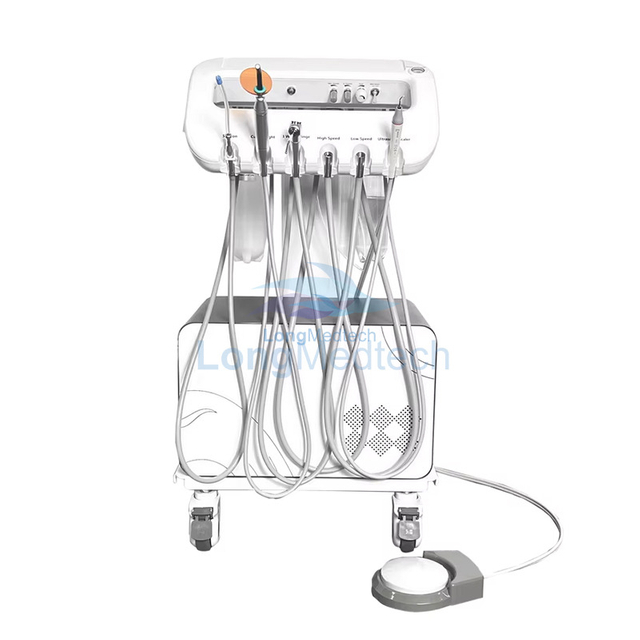 Tratamiento bucal dental veterinario LVMD-4