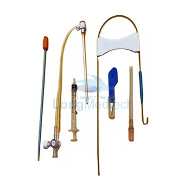 Гуяны интродуктор бүрээс 