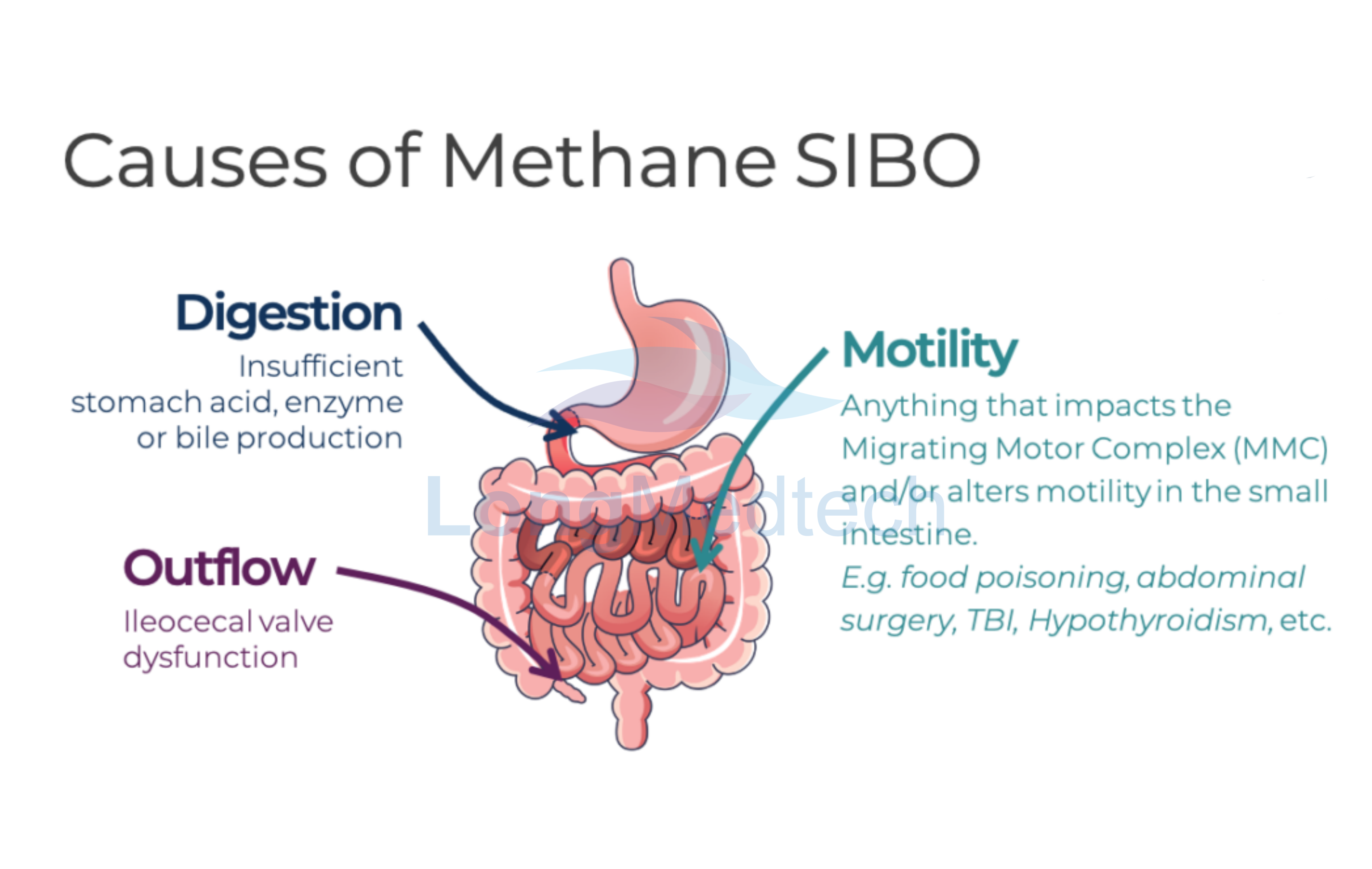 كيف يعمل اختبار التنفس H2