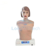 Mannequin de simulateur d'auscultation LZB-621