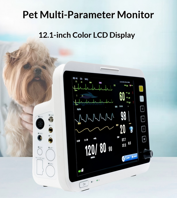 Appareil ECG v&eacute;t&eacute;rinaire LZK-120