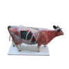 Vaca modelo de entrenamiento de acupuntura veterinaria LZB-692